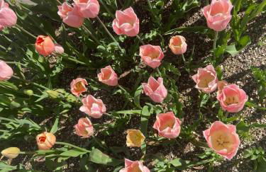 Casa Bosco - Photo 45