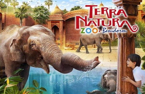 Ashanti Club Luxury Holiday Apartment - Photo 48