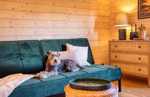 Bory Za Płotem - Foto 18