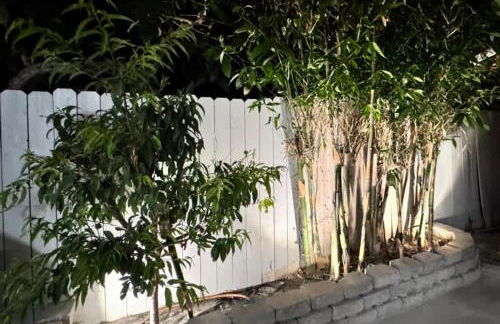 Disneyland Lux Villa 6BR 4BA Mini Golf Arcade Game - Foto 41