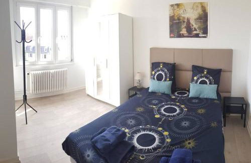 Le nid des cigognes à Colmar centre, proche gare, marchés de Noël - Foto 6