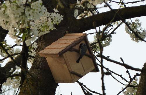 Ferienwohnung Schindler - Foto 17