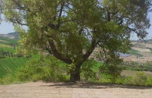 C'era Una Volta - Foto 15