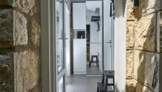 Aspidistra Shadow - Foto 5