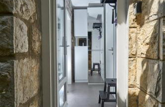 Aspidistra Shadow - Foto 5