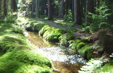 Ferienwohnung 2 Panoramablick - NEU incl 3-WeltenCard mit 140 kostenlosen Attraktionen - Foto 25