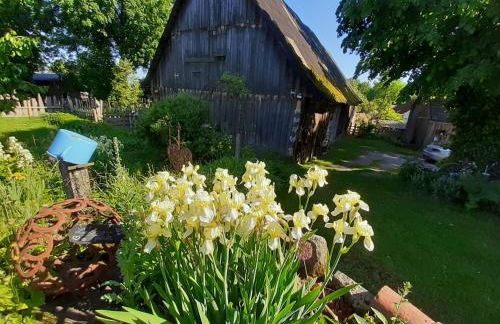 Apartment Jutta by Interhome - Foto 12