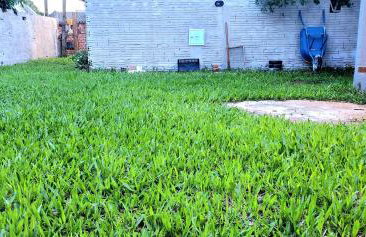 Casa confortável, próximo a pontos turísticos 2 - Foto 15