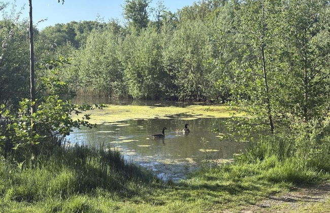 Scherpenheuvel Garden Home - Photo 32