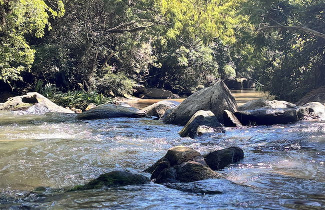 Into the Wild - Foto 19