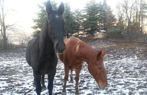 Cascina Bricco - Photo 14