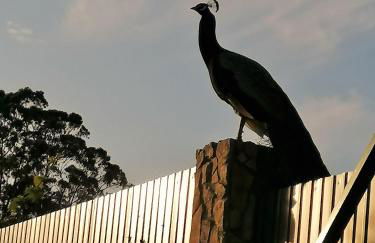 Quinta Sobral Prestige - Little Rustic - Photo 35