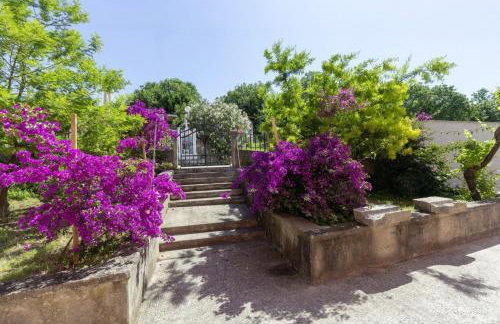 Villa Oliva Vilea in Sveta Marina - Haus für 8 Personen - Foto 36