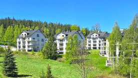 Green Diamond - Foto 1, Garden