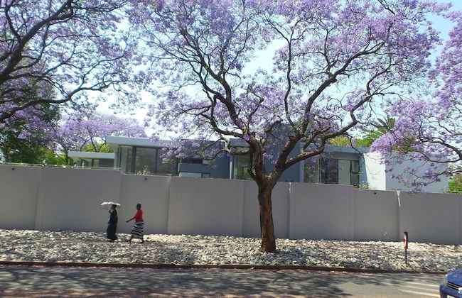 Melrose Executive Suites - Foto 34