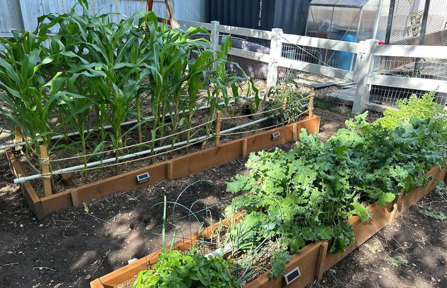 FR - Heber Historic Colonial - Photo 45