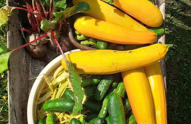 FORMA Apartament Supraśl - Foto 52