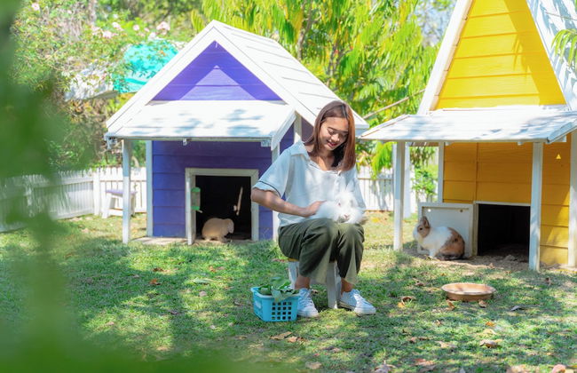 Luxury Farm House Pai - Photo 45