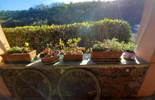 Agriturismo Cele - Foto 37