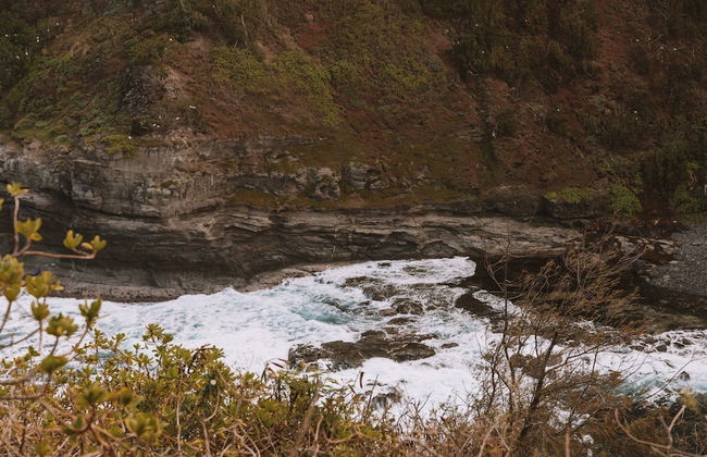 Kauai Plantation Hale Hotel - Foto 104