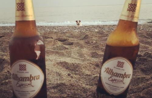 Pionono1 Calahonda Piscina - Foto 47