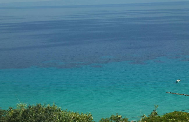 Arellis Studios - Foto 46