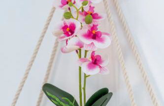 Open Mind Property - Cosy Home - 7 Beds & Parking - Foto 7