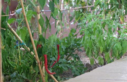 Villa Eden - Foto 34