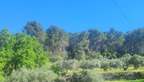 Le Mas Les Salamandres - Foto 2