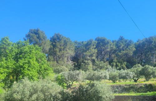 Le Mas Les Salamandres - Foto 2