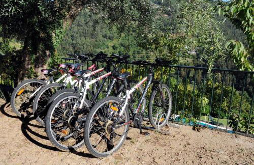 Quinta Das Escomoeiras - Foto 63