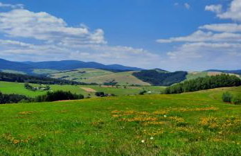 DOMEK LETNISKOWY MYSCÓWKA - Foto 27