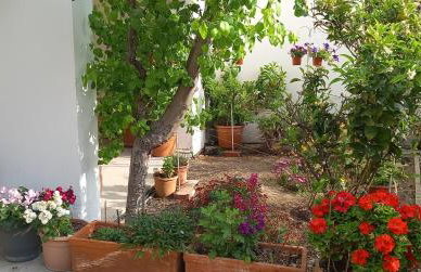 Villa Malena Volos Alykes beach - Foto 9