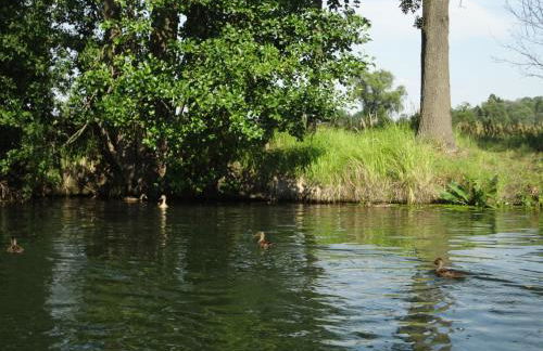 Alteschule15 - Foto 29