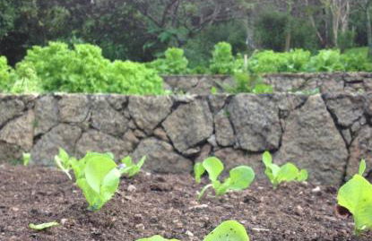 Reserva Atibaia / Casa de Montanha - Photo 14