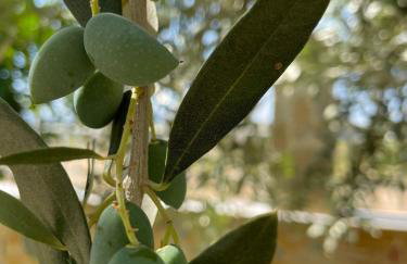 Luxury Apartment in Kato Assos - Villa Orangerie - Foto 28