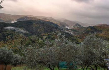 Profumo di Bosco - Photo 28