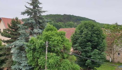 Ferienwohnung im Herzen von Thüringen - Foto 3