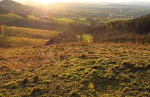 Large Detached Holiday Home in Hesse With Private Garden and Terrace - Foto 51