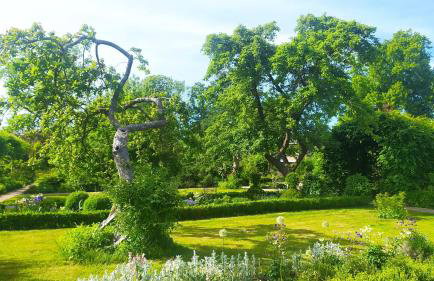 Ferienwohnung Birnengarten am Pfarrgarten Starkow - Foto 14