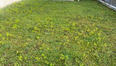 Au Clos Célestin - Beau T4 - 86 m2 - Terrasse 35 m2 - Jardin 68 m2 - Foto 5, Garden view