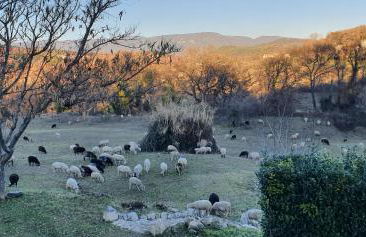 CHRIS LE VERGER - Foto 24