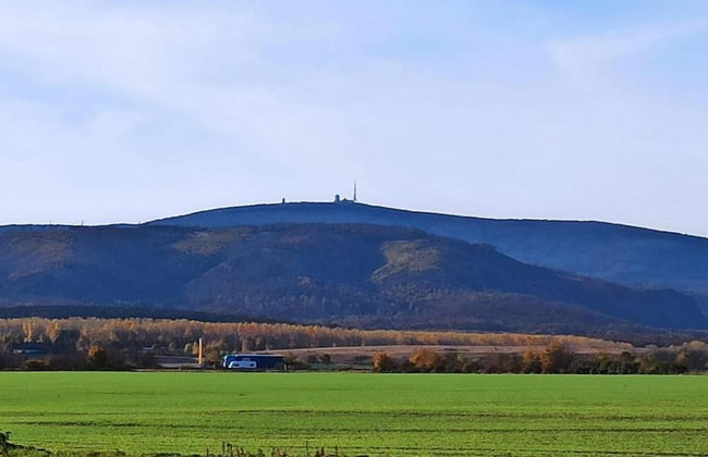 Apartment in Harz With Terrace and Fireplace - Photo 21