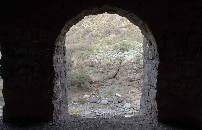 Day Trip to Cajón del Maipo - Photo 5