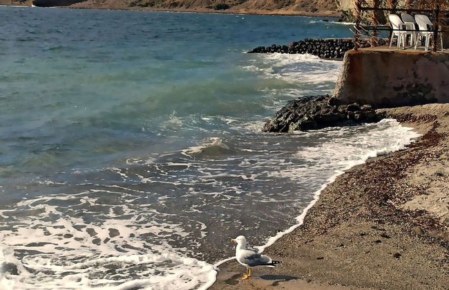 House in Paradisiacal Beach Area La Isleta, Nijar - Photo 18