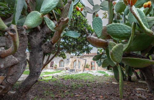 Masseria Copertini - Foto 45