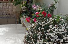 Kalomiris Thea Suite - Foto 19