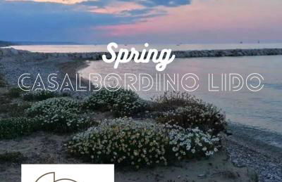 Casa Tikiri - Foto 15