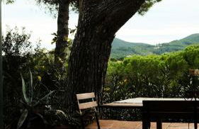 Ampio bilocale a Marina Di Campo - VILLAGGIO LA SERRA - Foto 24