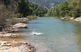 Mas de Salvador - Foto 62